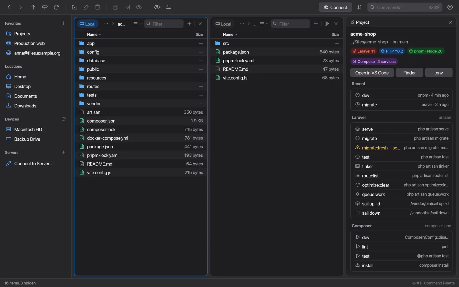 Panel de proyecto de un proyecto Laravel con sus scripts