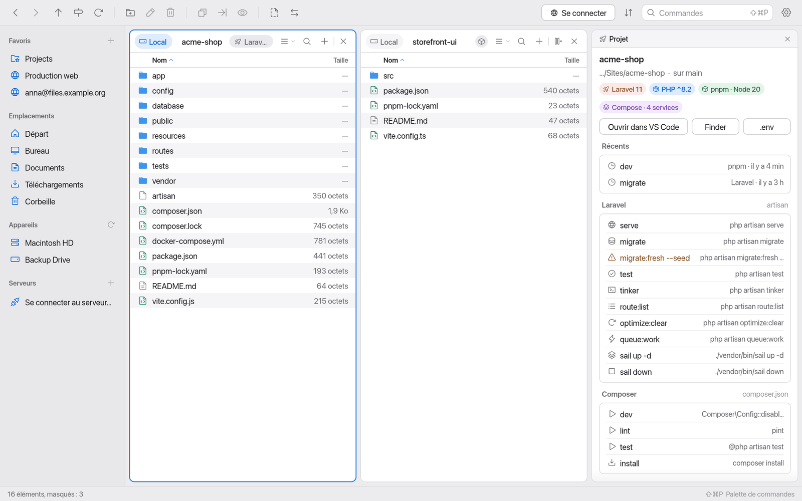 Panneau Projet pour un projet Laravel