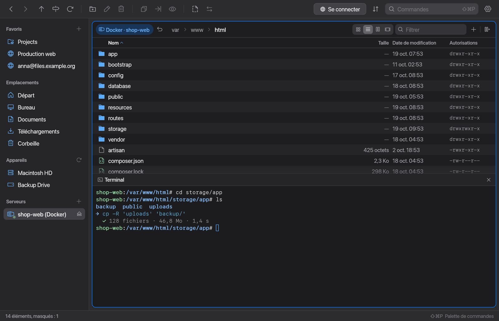 Une sous-fenêtre avec un terminal en dessous