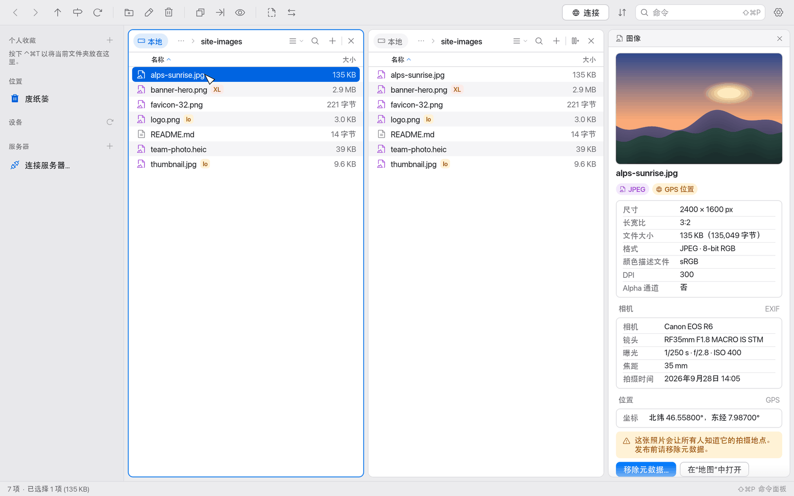 带 EXIF 数据的图像面板