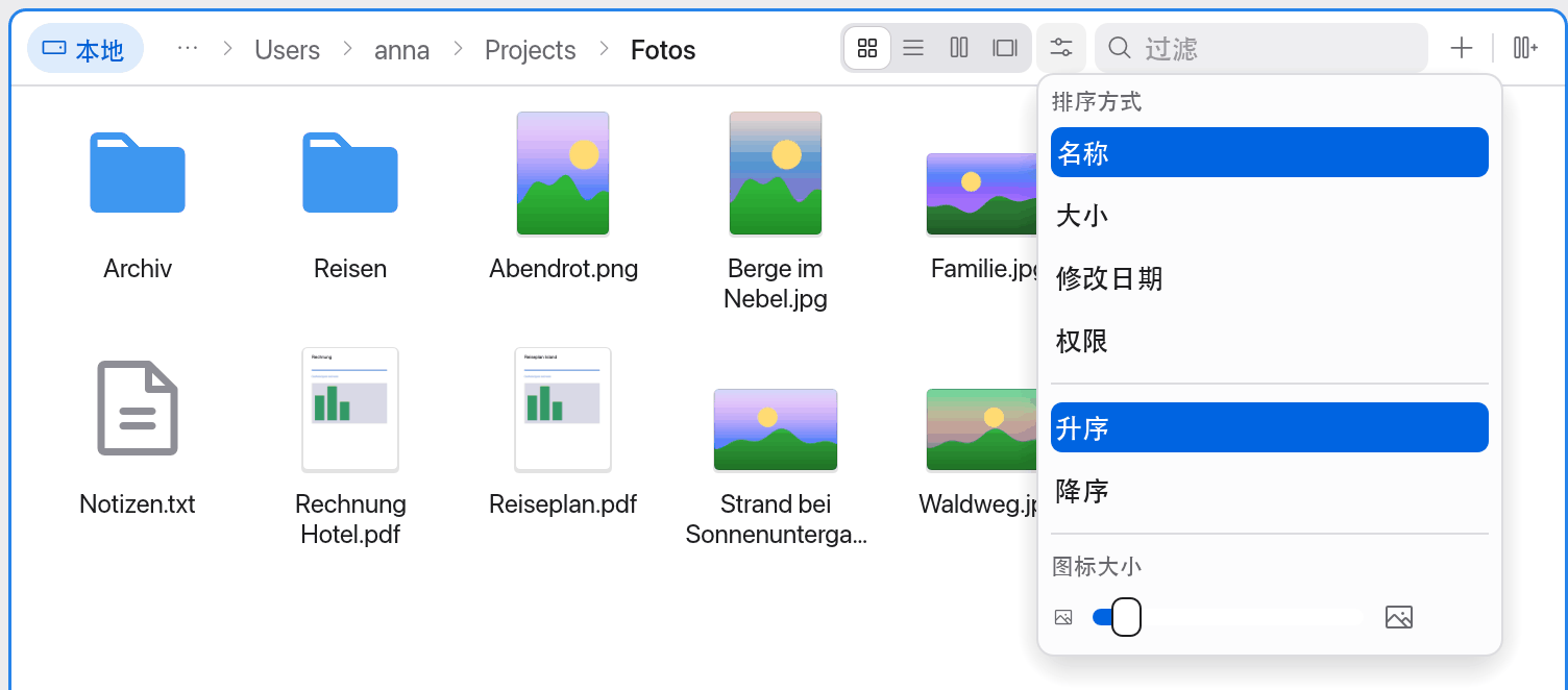 路径栏中的视图切换器和显示选项